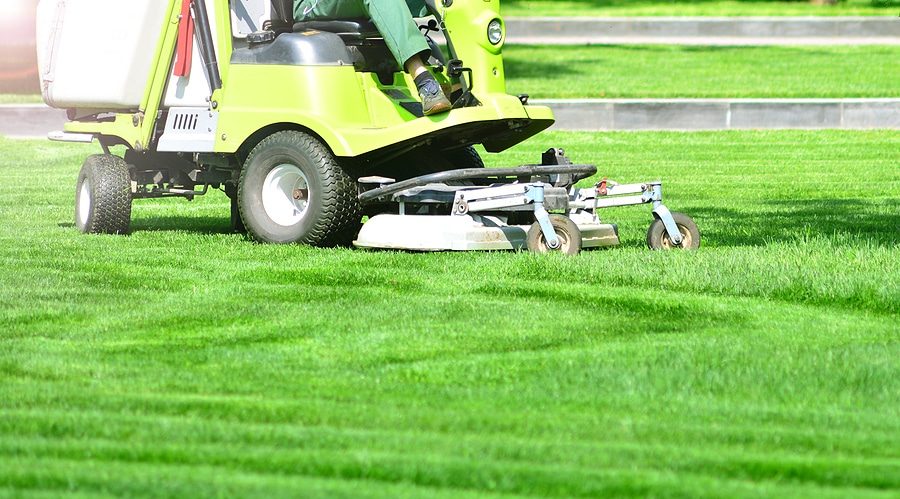 Through lawn mowing services in Indianapolis, IN and beyond.