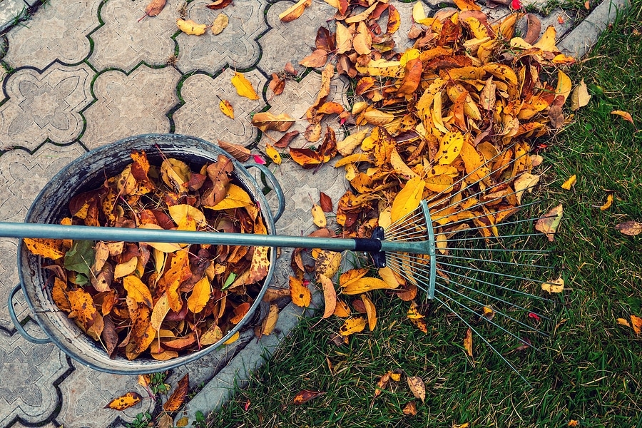 3 Benefits of Raking Your Leaves in the Fall