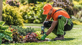 Professional landscaping services in Indianapolis, IN and nearby.