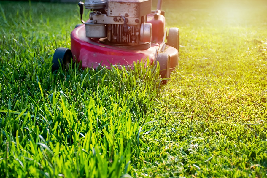 4 Essential Mowing Tips from Miller Lawn Maintenance