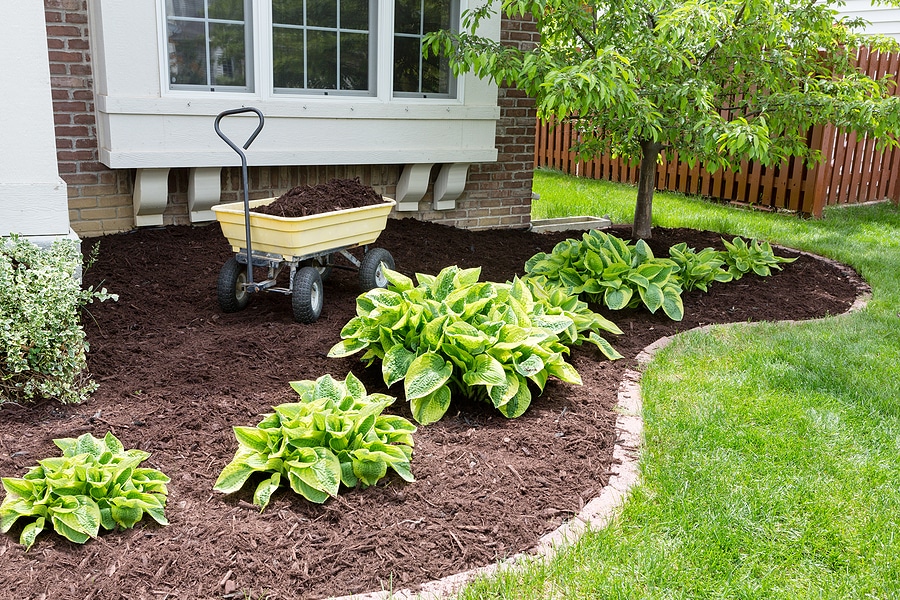Top 4 Reasons to Hire Professional Landscaping Services