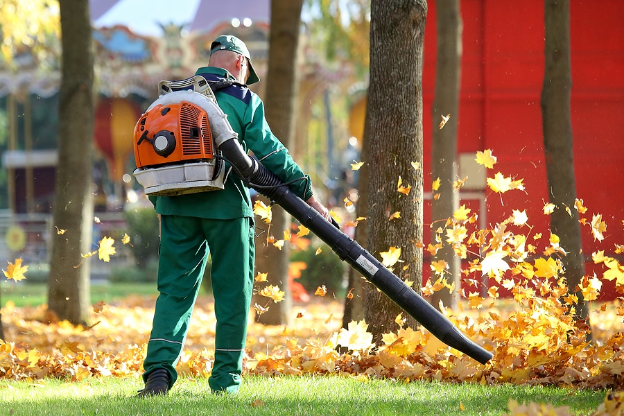 Why You Should Hire a Professional for Fall Yard Cleanup