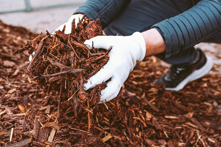 Enhance Your Landscape with Mulch and Thoughtful Design